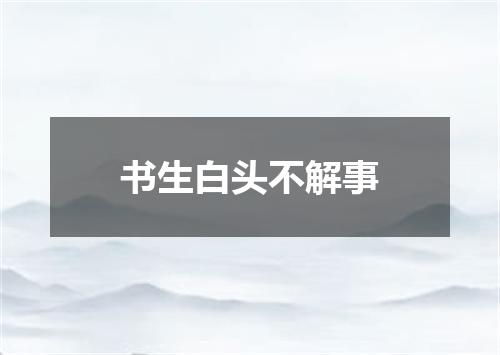 书生白头不解事