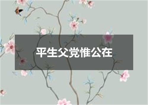 平生父党惟公在