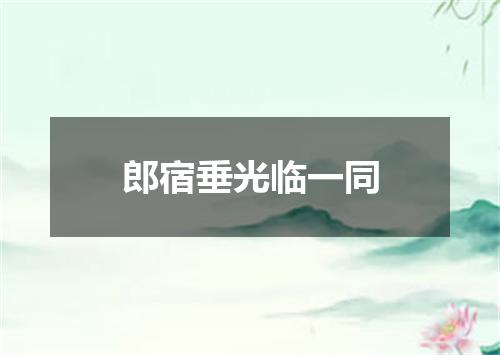 郎宿垂光临一同