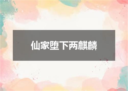 仙家堕下两麒麟