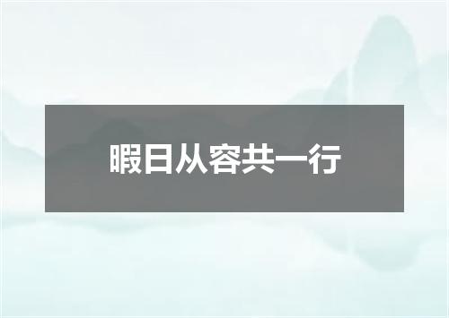 暇日从容共一行