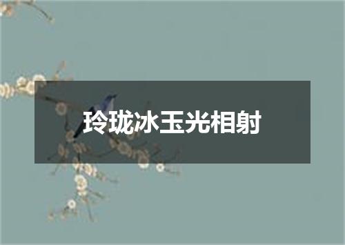 玲珑冰玉光相射