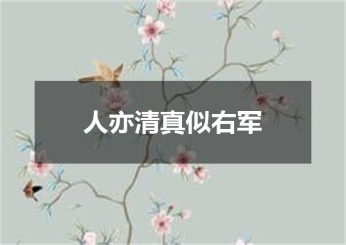 人亦清真似右军