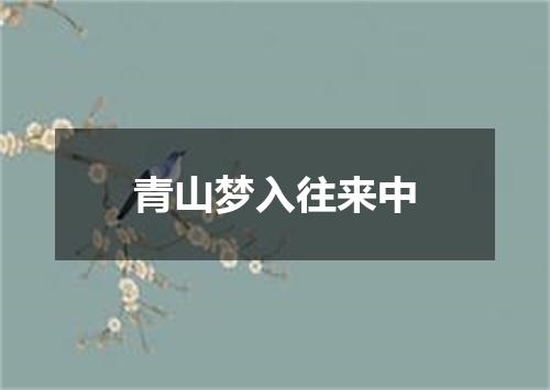 青山梦入往来中