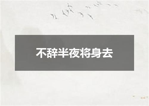 不辞半夜将身去
