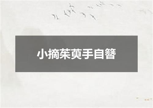 小摘茱萸手自簪