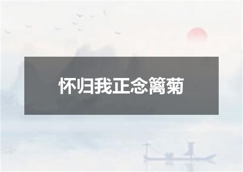 怀归我正念篱菊