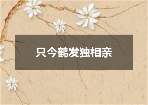 只今鹤发独相亲