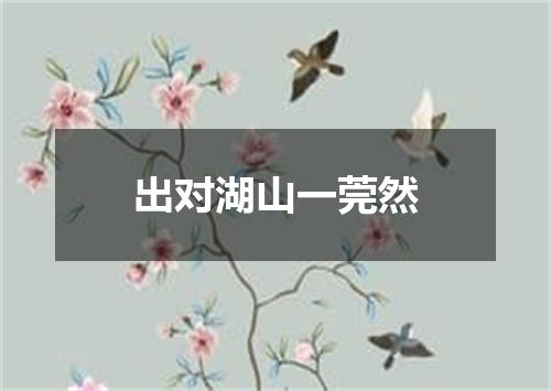 出对湖山一莞然