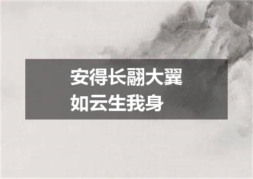安得长翮大翼如云生我身