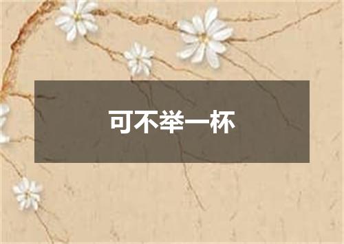 可不举一杯