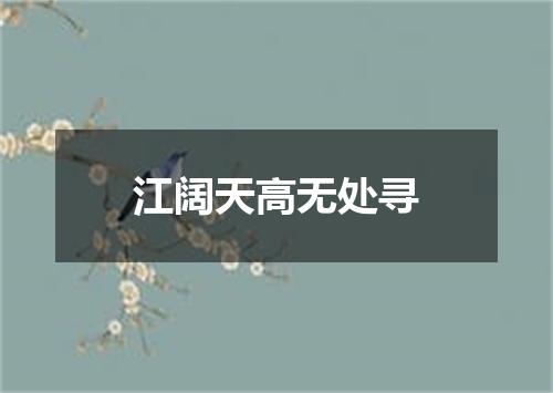 江阔天高无处寻