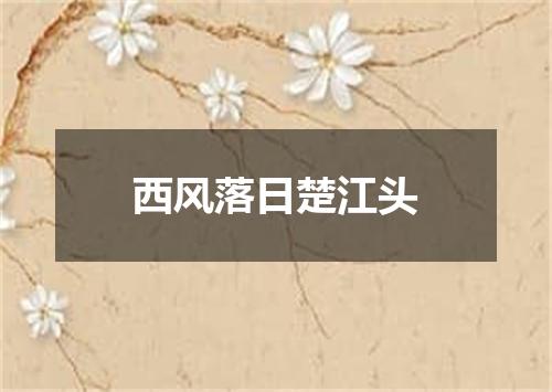 西风落日楚江头