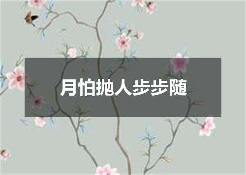 月怕抛人步步随