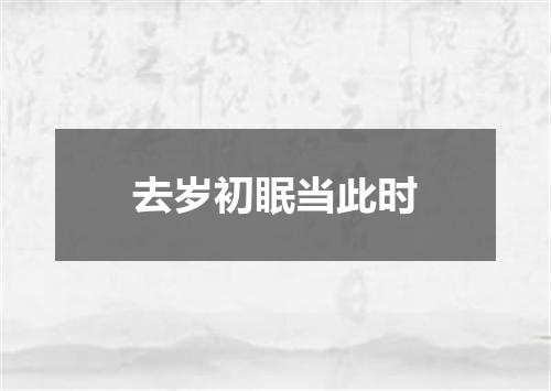 去岁初眠当此时