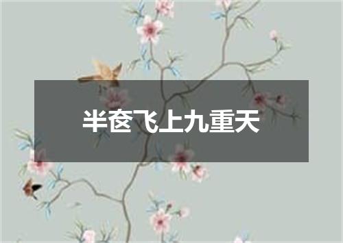 半奁飞上九重天