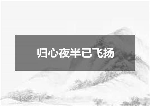 归心夜半已飞扬