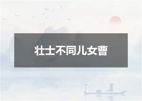 壮士不同儿女曹