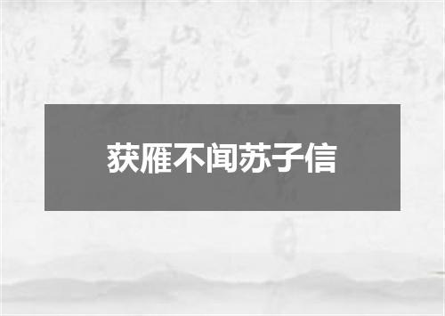 获雁不闻苏子信