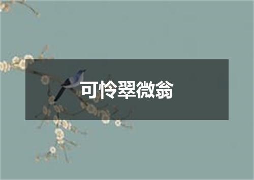 可怜翠微翁