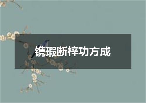 镌瑕断梓功方成