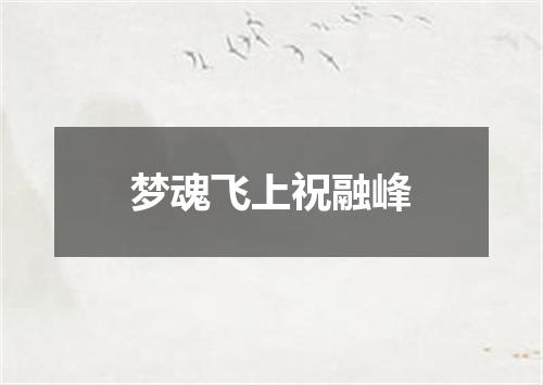 梦魂飞上祝融峰