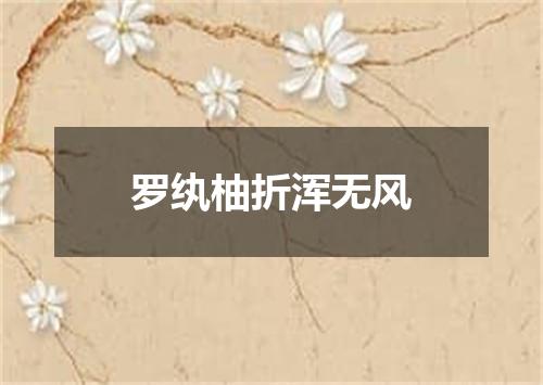罗纨柚折浑无风