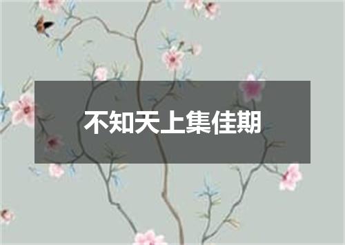 不知天上集佳期