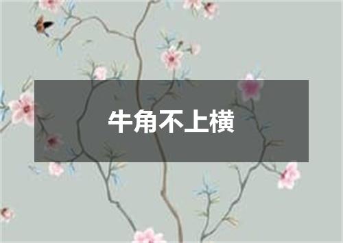 牛角不上横