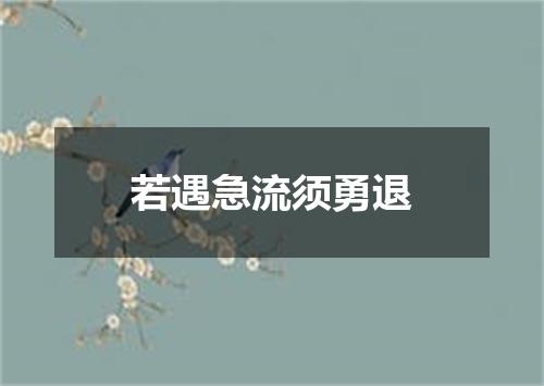 若遇急流须勇退