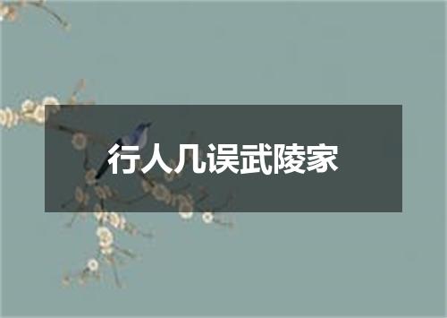 行人几误武陵家
