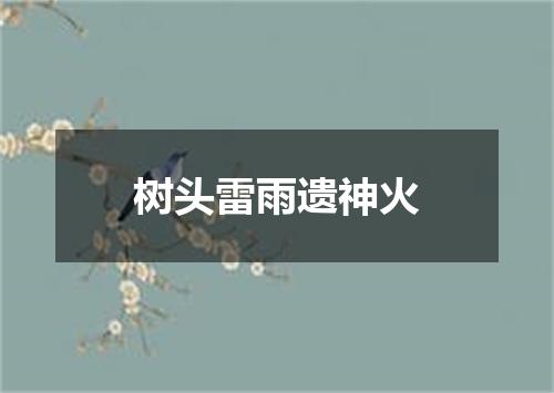 树头雷雨遗神火