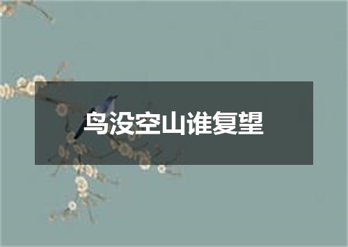 鸟没空山谁复望