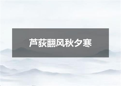 芦荻翻风秋夕寒