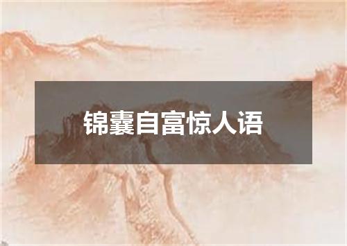 锦囊自富惊人语