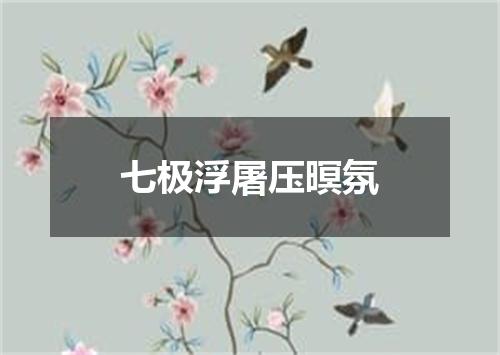 七极浮屠压暝氛