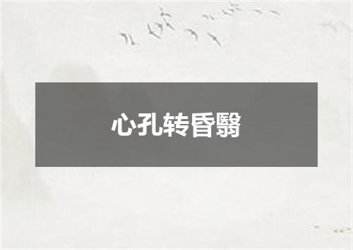 心孔转昏翳