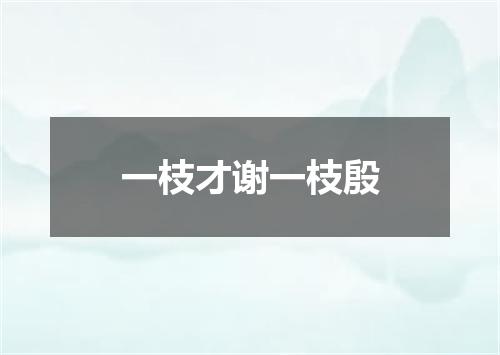 一枝才谢一枝殷
