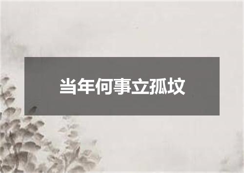 当年何事立孤坟