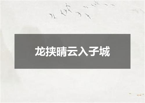龙挟晴云入子城