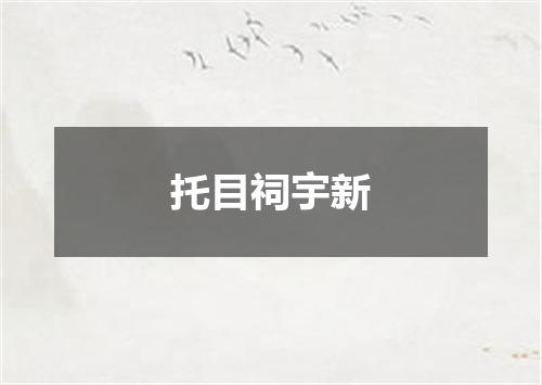 托目祠宇新