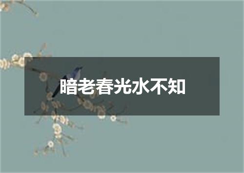 暗老春光水不知