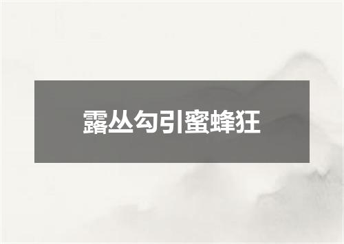 露丛勾引蜜蜂狂