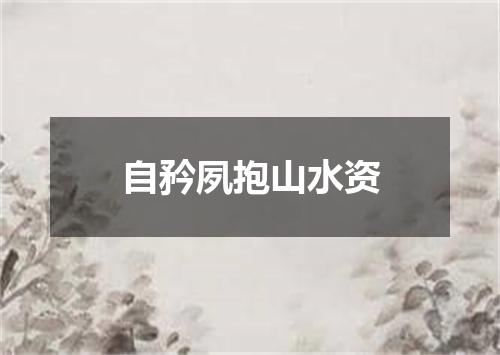 自矜夙抱山水资