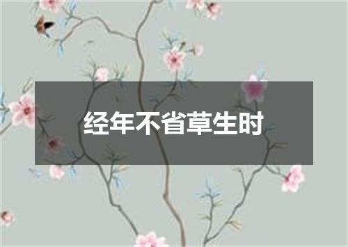 经年不省草生时