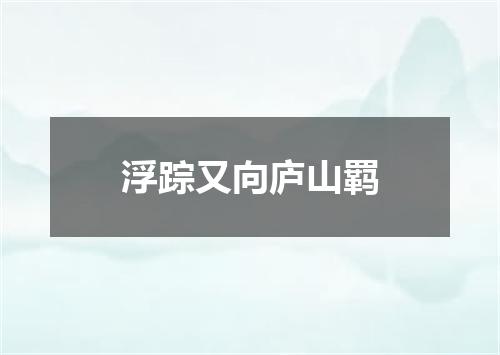 浮踪又向庐山羁