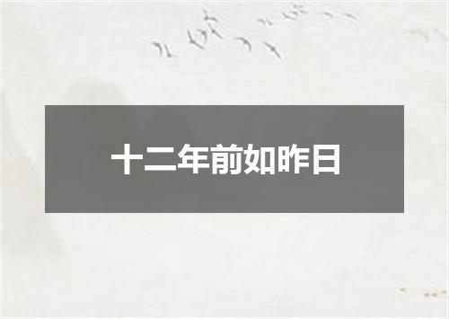十二年前如昨日