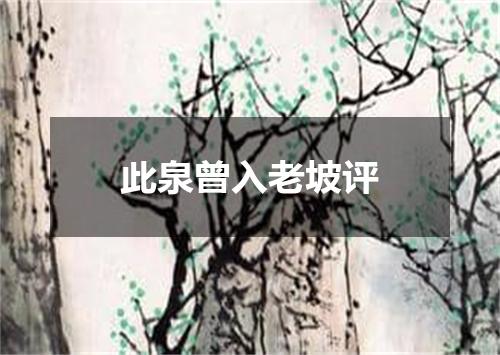 此泉曾入老坡评