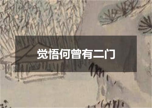 觉悟何曾有二门