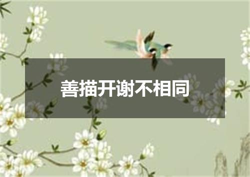善描开谢不相同